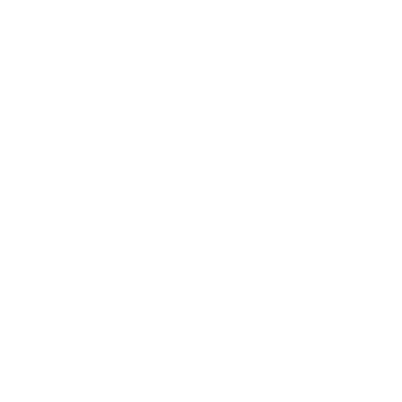 logo DMI